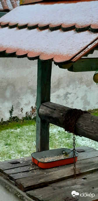 Megérkezett a hó és a cinegék