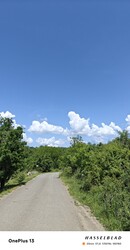 Gyöngyössolymos