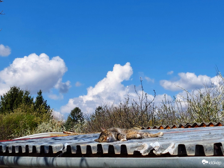 Napfürdőző a garázstetőn