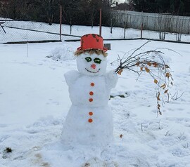 Itt a farsang áll a bál!