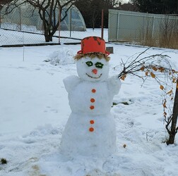 Itt a farsang áll a bál!