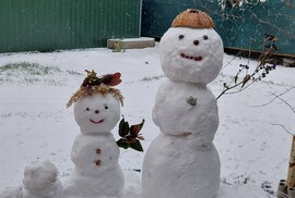 A szépség és a szörnyeteg 