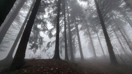 Napok óta nem tágít