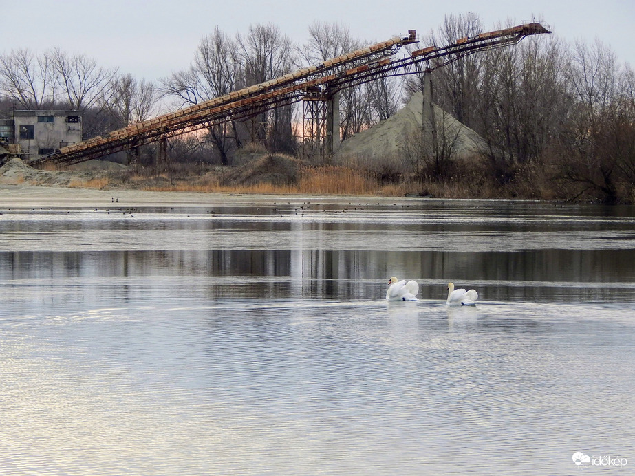 A fiúk a bányában dolgoznak- a hattyúk pedig a bányaba tartanak