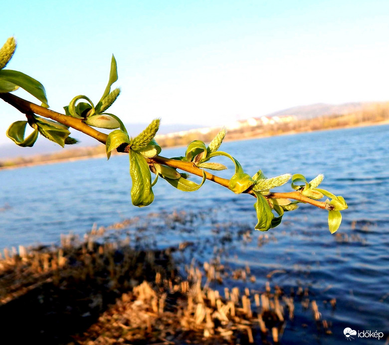 Tóparti tavasz