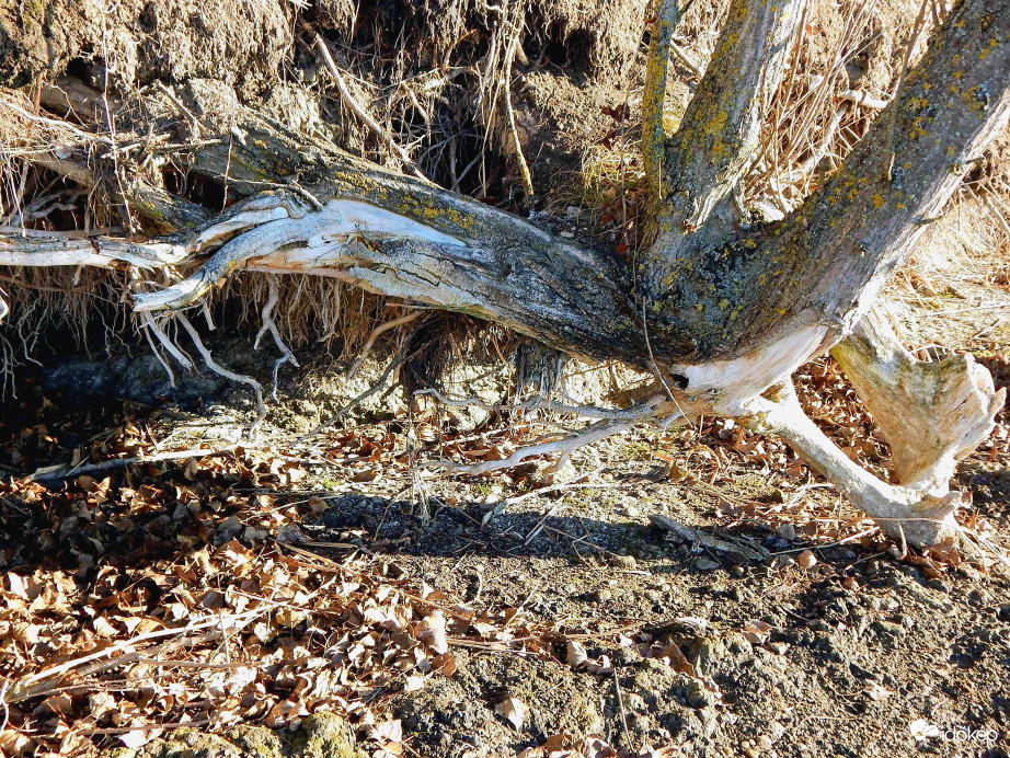 A part alatt ....új felfedezések a jég jóvoltából