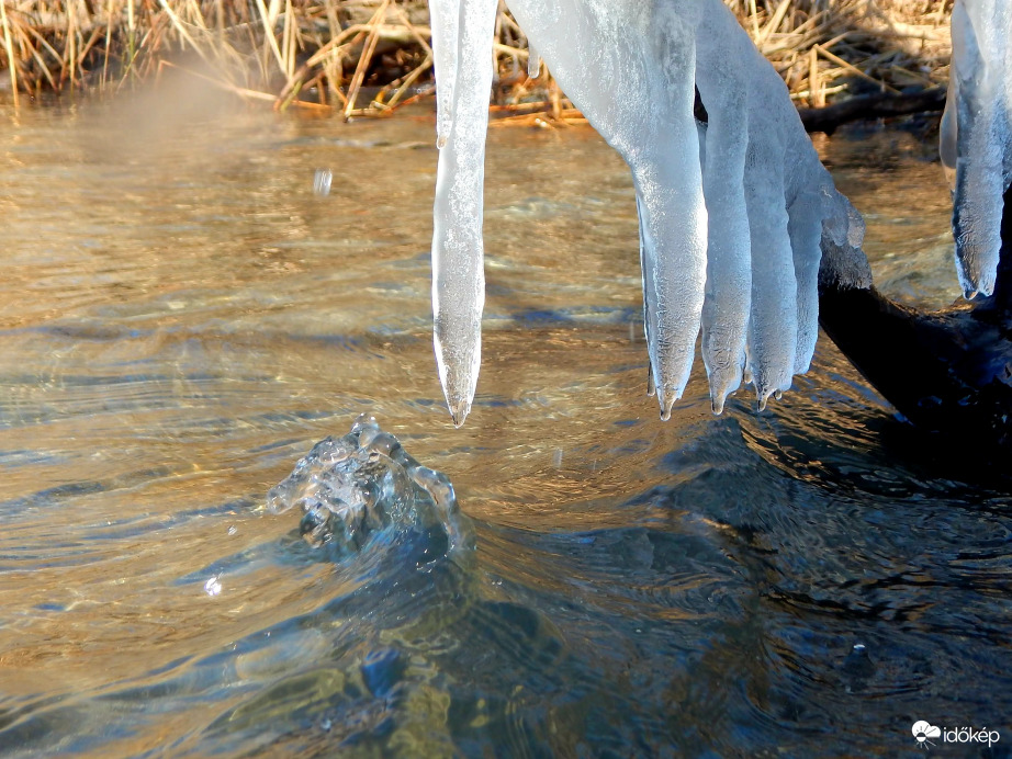 Menekülő sárkány