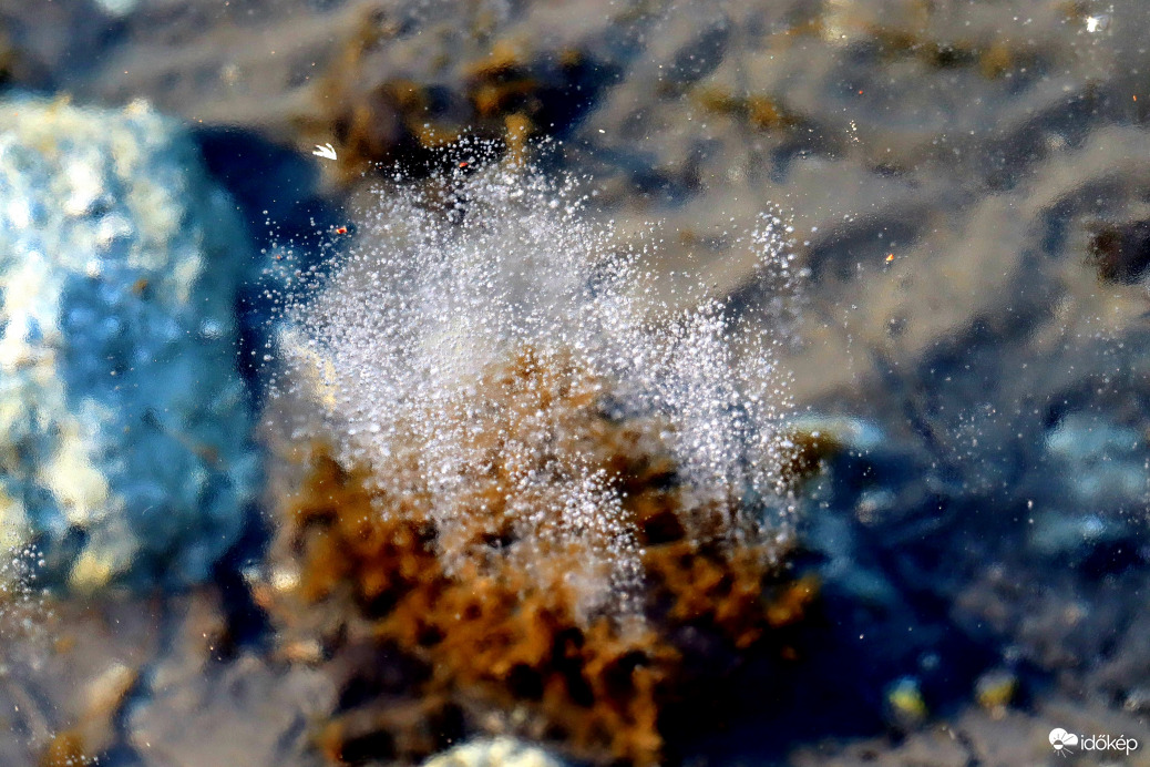 Fagyott gyöngyöző