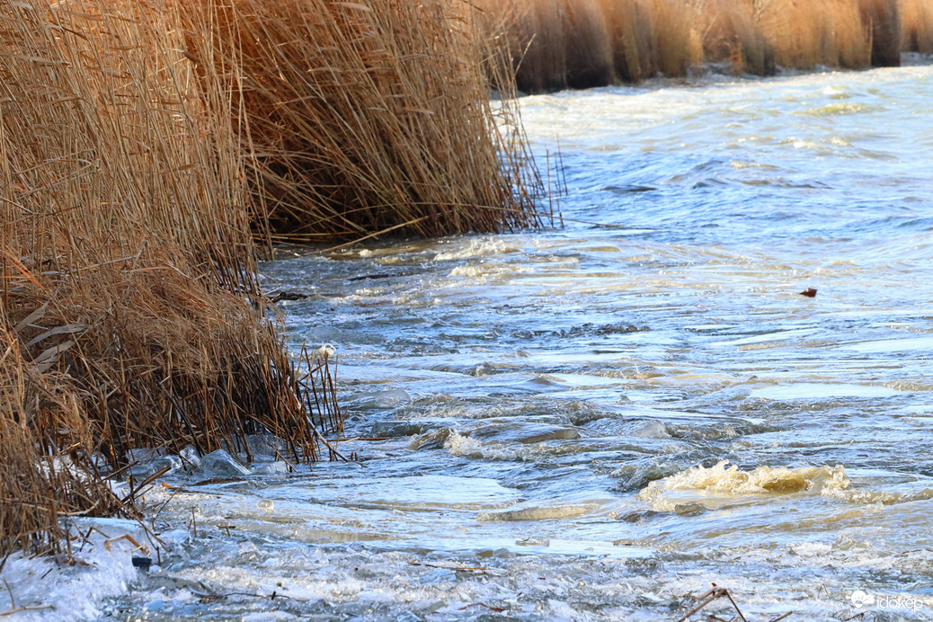 Ahol a nap süt és a szél fúj