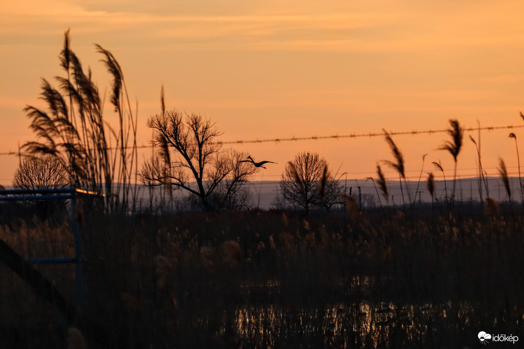 Naplemente a Jurrasic Parkban