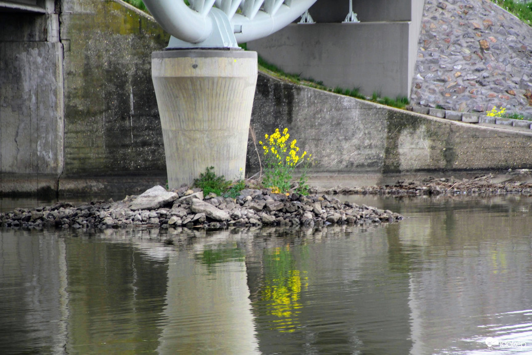 Poroszlói kerékpáros híd