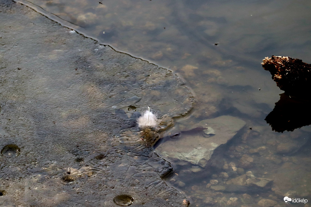Jégbe zárt tollpihe