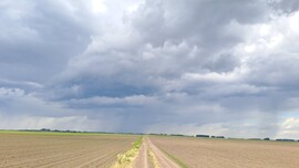 Lőkösháza