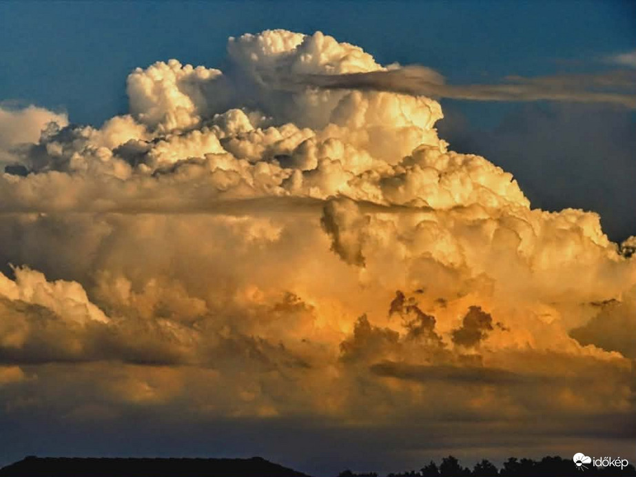 zoardstorm fotója