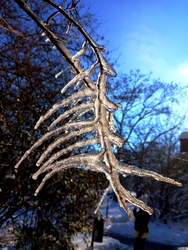 Jégbe fagyott érintés