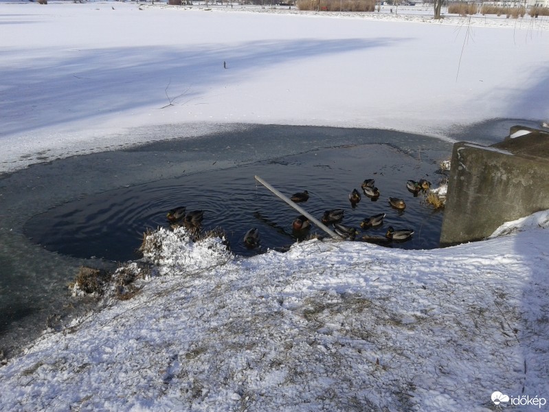 Nyíregyháza