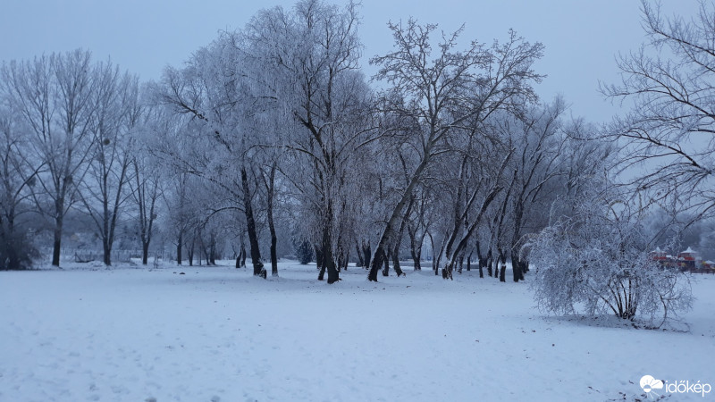 Nyíregyháza