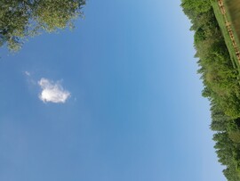 Dunaszeg