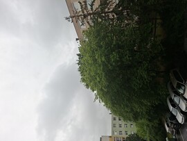 Győr