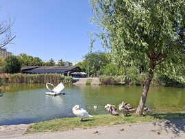 Győr