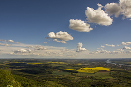 Báránykák