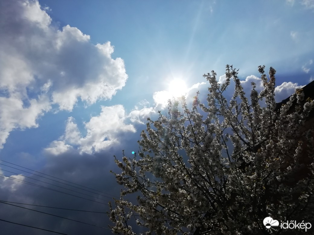 Észlelési fényképek