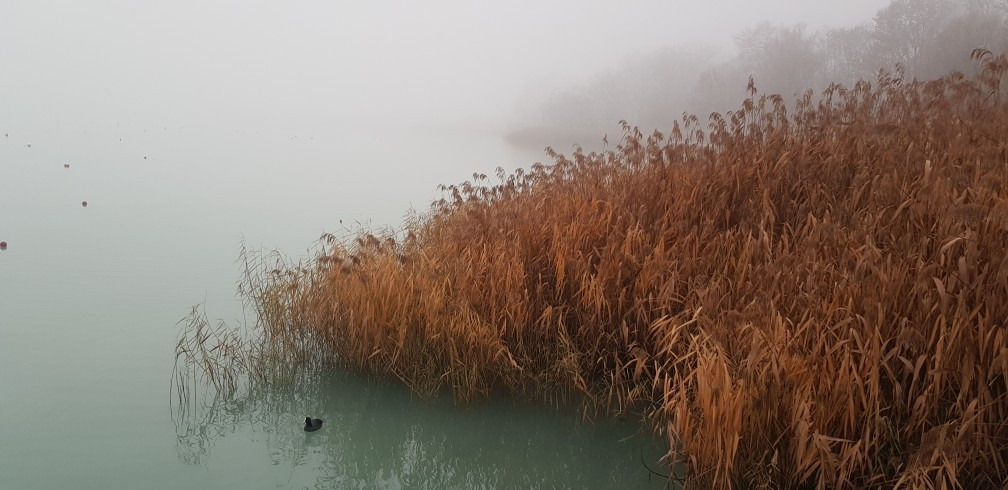 Balatonfűzfő