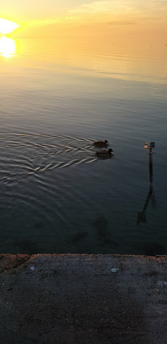 Balatonfűzfő