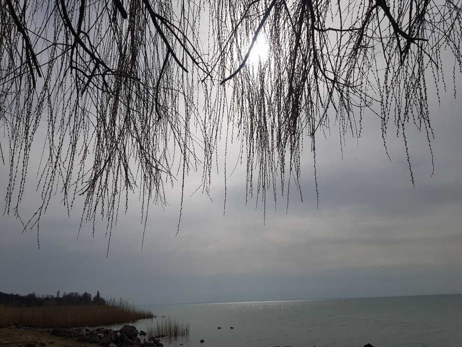 Balatonfűzfő