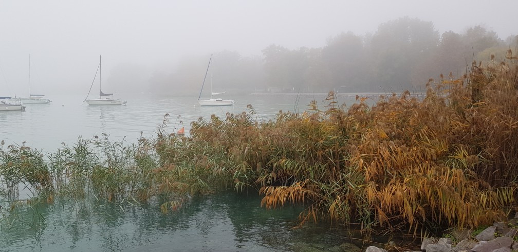Balatonfűzfő