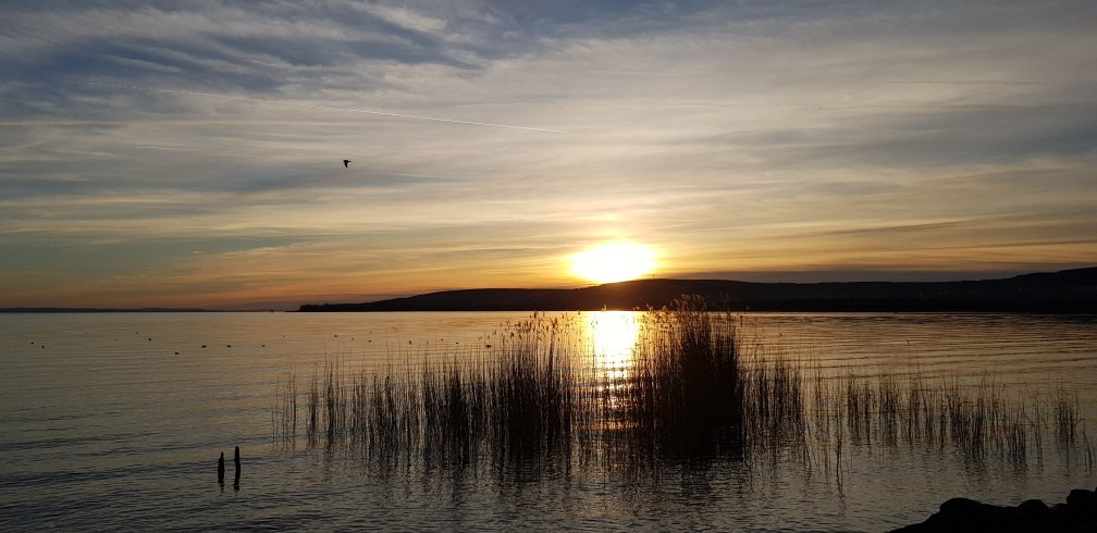 Balatonfűzfő