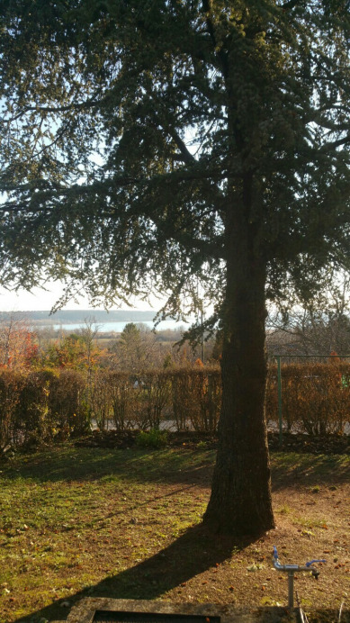 Balatonfűzfő