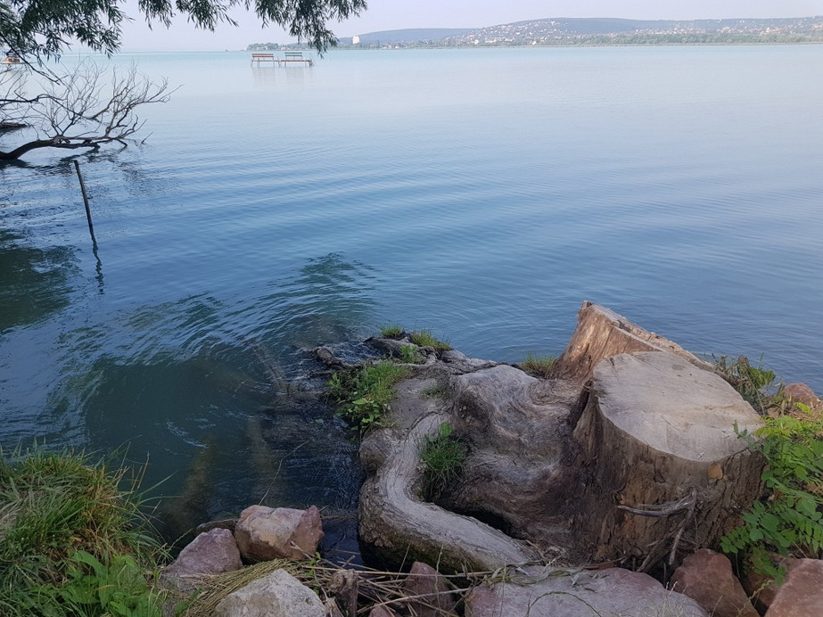 Balatonfűzfő