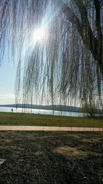 Balatonfűzfő
