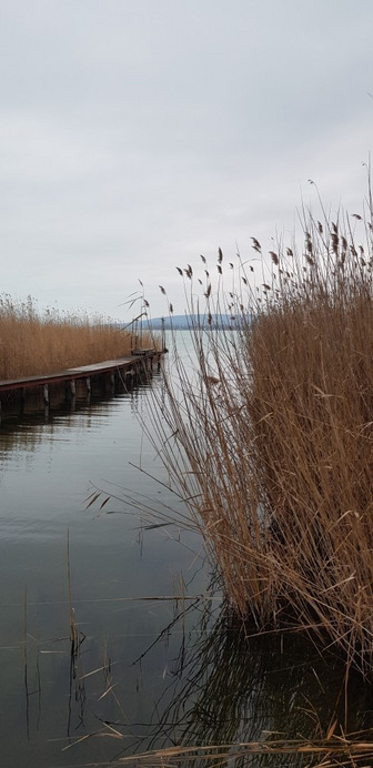Balatonfűzfő