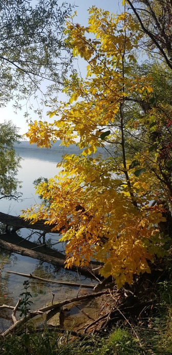 Balatonfűzfő
