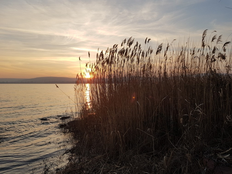 Balatonfűzfő