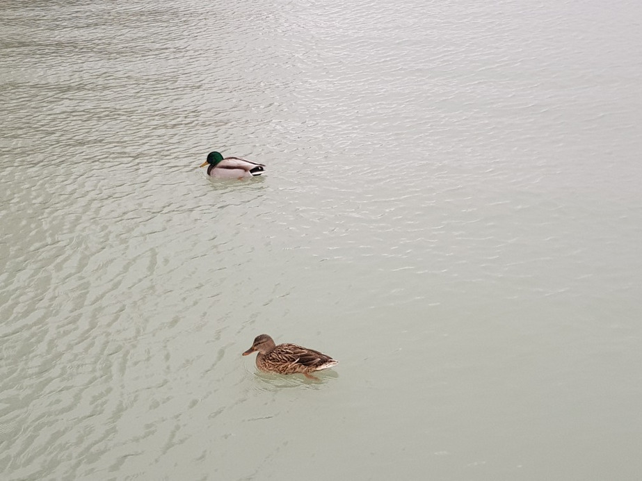 Balatonfűzfő