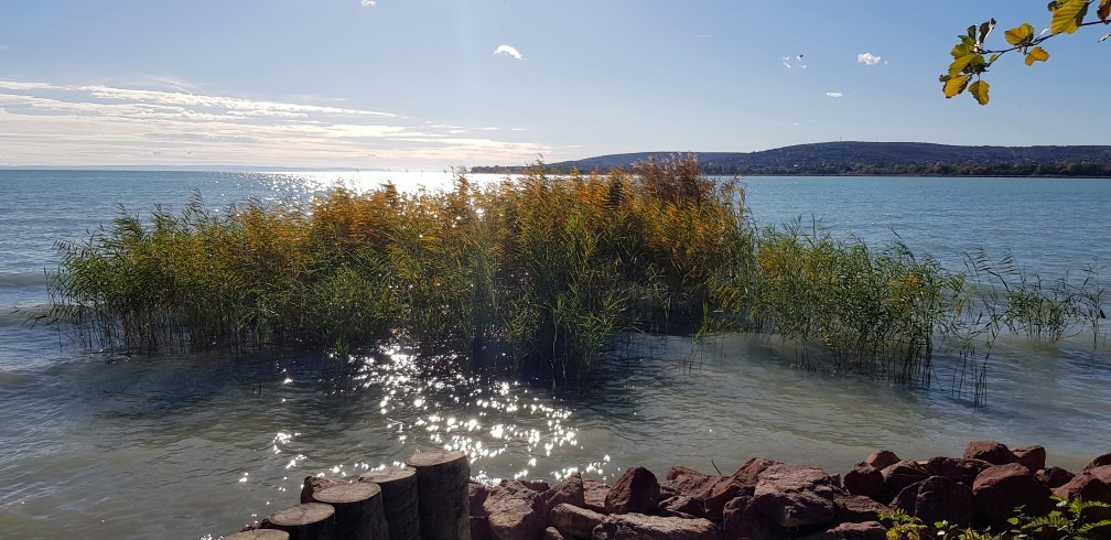 Balatonfűzfő