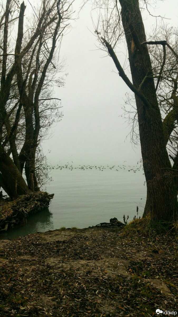 Balatonfűzfő