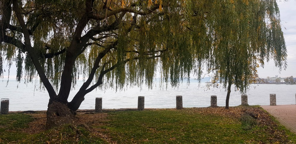 Balatonfűzfő