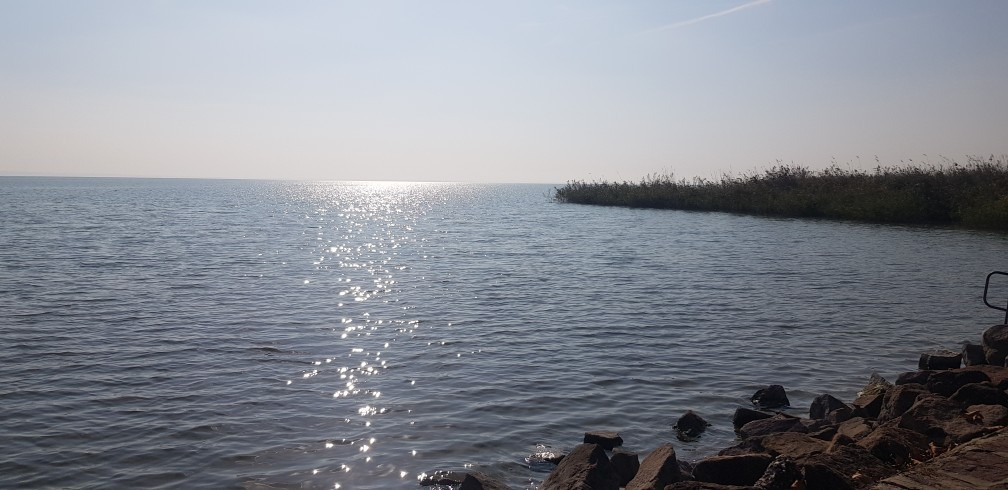 Balatonfűzfő