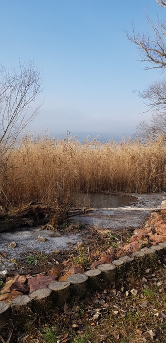 Balatonfűzfő