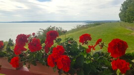 Balaton