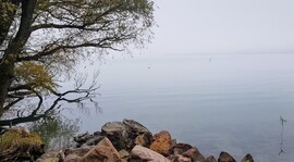 Balatonfűzfő