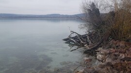 Balatonfűzfő