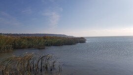 Balatonfűzfő