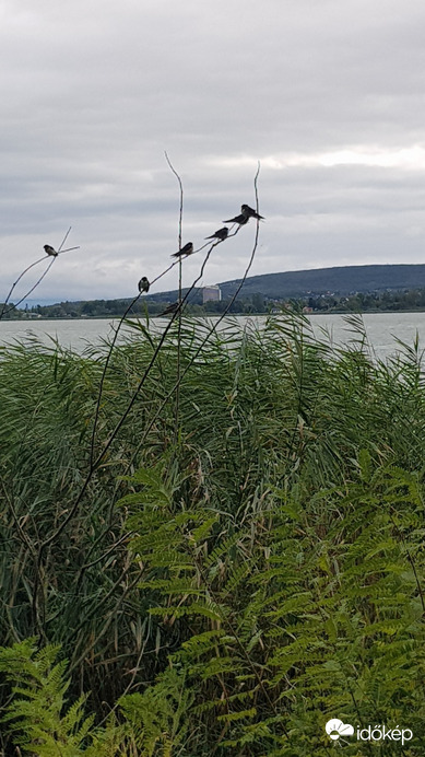 Balatonfűzfő