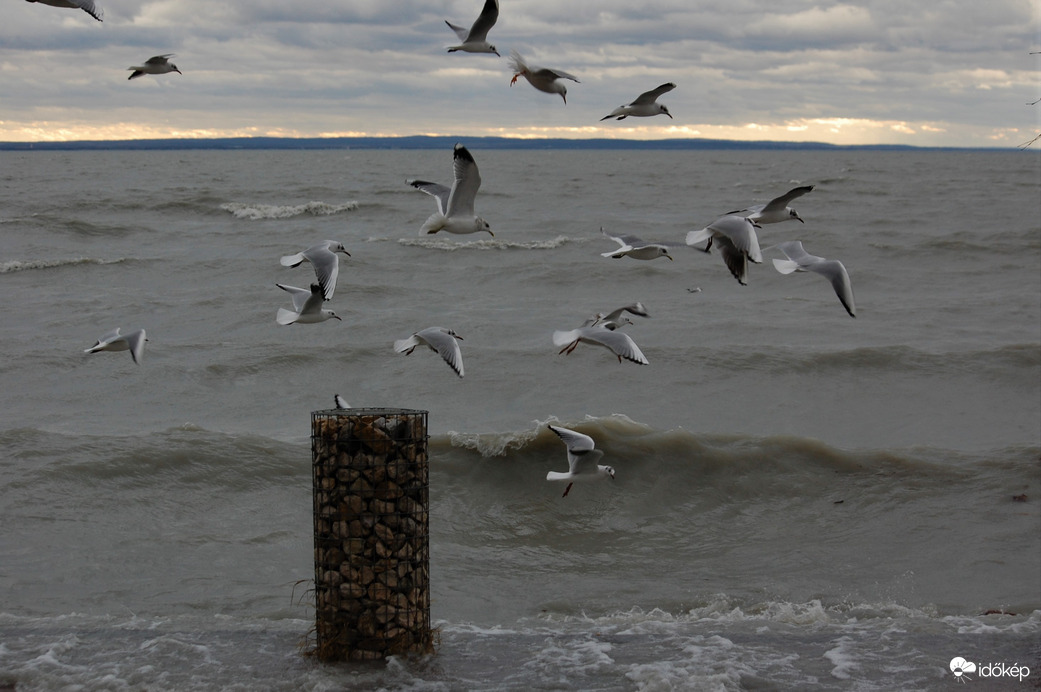 amikormegbillent a Balaton, 2020.02.10.