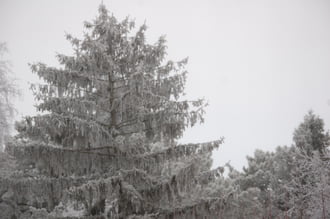 Boldog, békés ünnnepeket kívánok!
